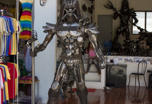 Predator